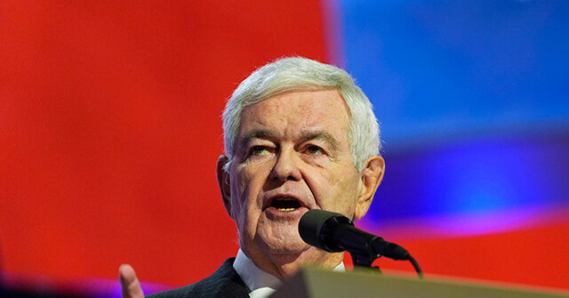 Newt Gingrich: Democratic Party Controlled by ‘Power Brokers’