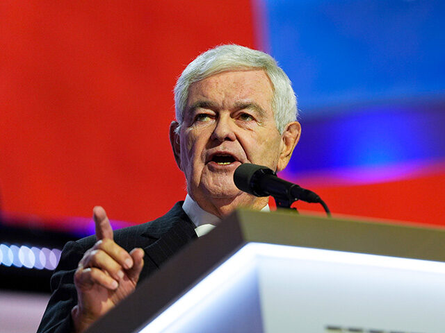 Former Speaker Newt Gingrich speaks during the Republican National Convention Wednesday, J