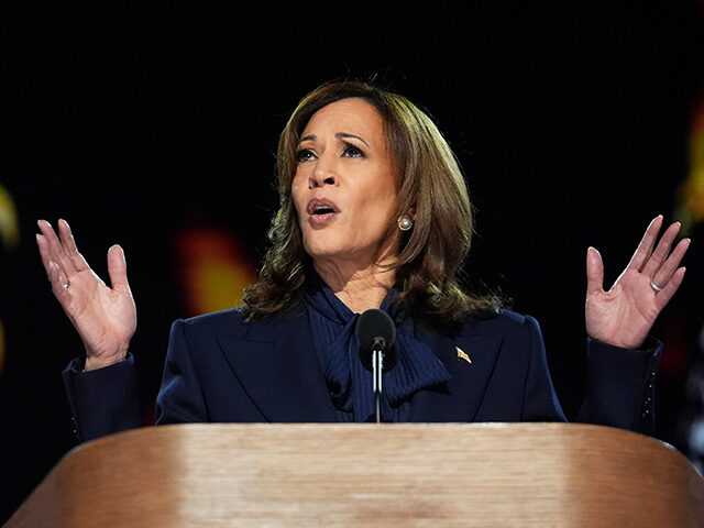 Democratic presidential nominee Vice President Kamala Harris speaks during the Democratic