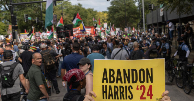 Pro-Palestinian ‘Abandon Biden’ Group Commits to Ensuring Harris Loses