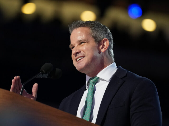 Former U.S. Rep. Adam Kinzinger (R-Il) speaks on stage during the final day of the Democra