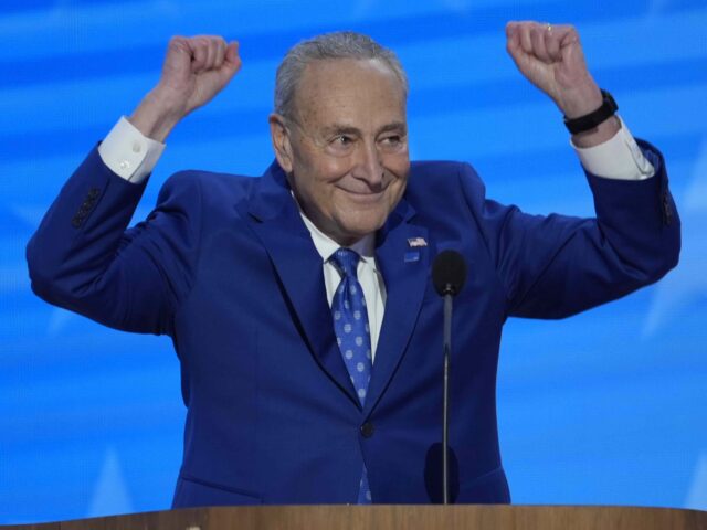 Sen. Chuck Schumer, D-NY., speaking during the Democratic National Convention Tuesday, Aug