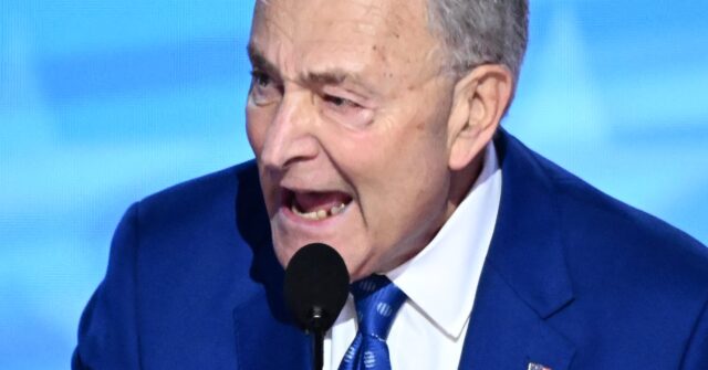 Fact Check: Schumer Falsely Claims Trump 'Invited a White Supremacist to Mar-a-Lago