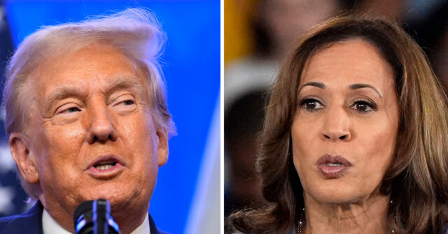 Nolte: Trump Tops Kamala in New York Times/Siena National Poll