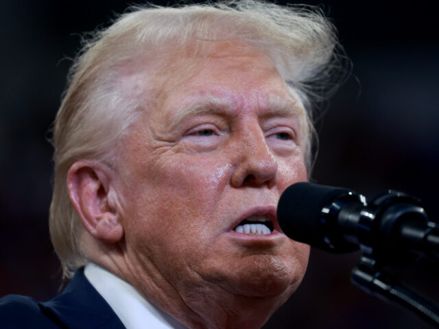 Republican presidential nominee, former U.S. President Donald Trump speaks during a campai