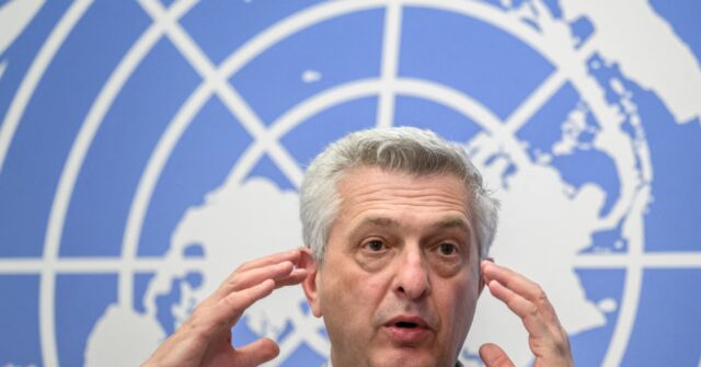 U.N. Migration Chief Celebrates Joe Biden's Migrant Strategy, Tells Europe to Copy