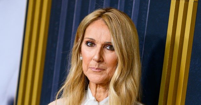 Celine Dion Jabs Trump for Playing 'Titanic' Song at Rally