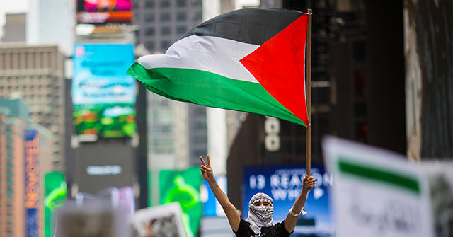 Pro-Palestinian Protests Scheduled Throughout Week for DNC in Chicago