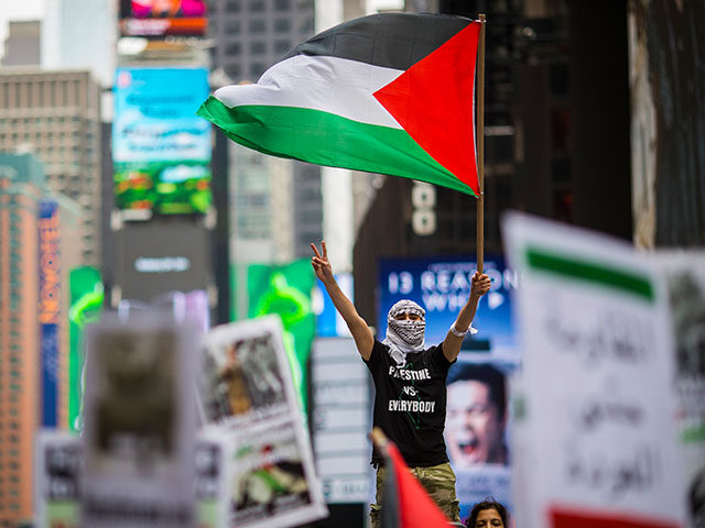 Members of the Palestinian community, fellow Muslims and their supporters rally in support