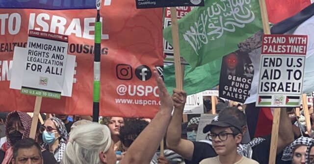 Biden: Pro-Hamas Protesters Outside DNC 'Have a Point'; Never Mentions 'Israel'