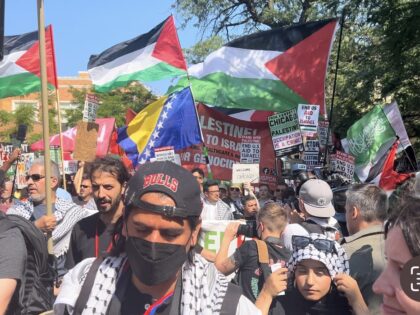 Hamas Palestinian protest DNC Chicago (Joel Pollak / Breitbart N