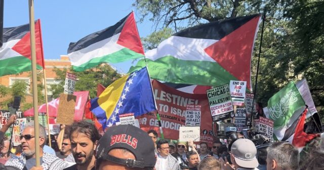 Pro-Palestinian Protesters Outside DNC Want Israel Destroyed -- and Target Jews