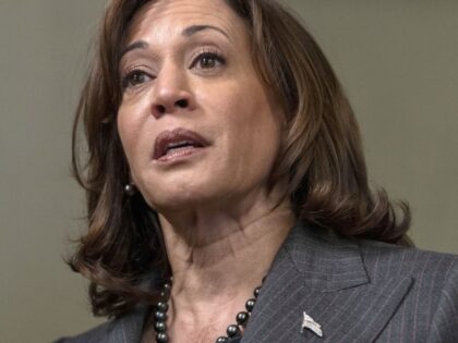 WATCH: Job Creators Network Rips Kamala Harris for Claiming Grocers Are ‘Price Gouging’