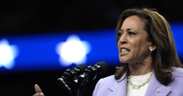 Kamala Harris Admonishes Israel After IDF Hits Terrorists at School Compound