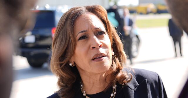 Democrats Pass Platform That Never Refers to 'Kamala' Once
