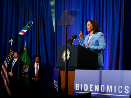 Vice President Kamala Harris gives remarks ahead of the one-year anniversary of the Biden