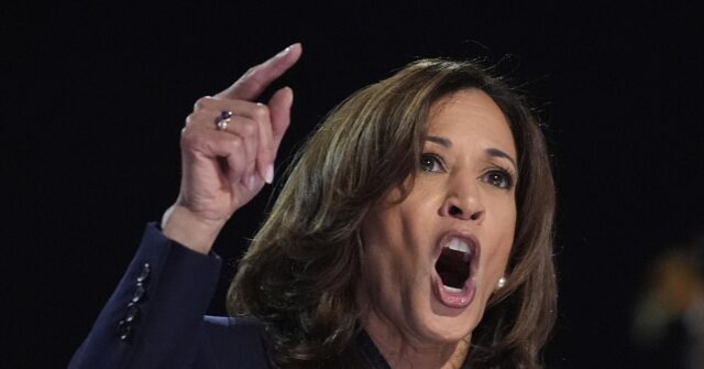Fact Check: Kamala Harris Claims Trump Wants 'Anti-abortion Coordinator'