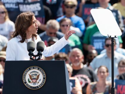 EAU CLAIRE, WISCONSIN - AUGUST 7: Democratic presidential candidate, U.S. Vice President K