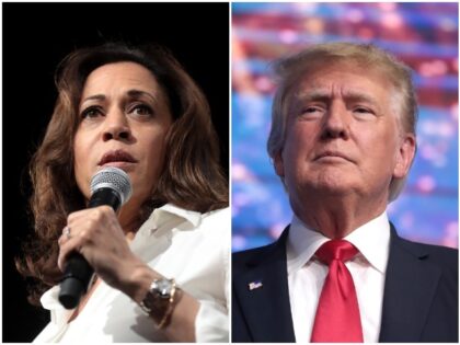 Nolte: Kamala Harris and Donald Trump Nearly Tied in Battleground Wisconsin