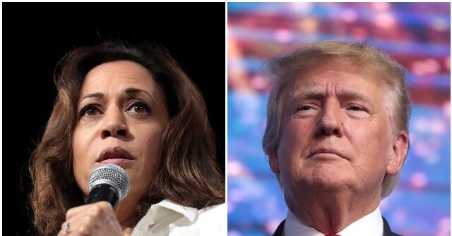 Trump, Harris in poll