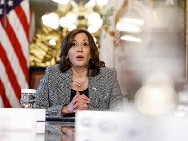 WASHINGTON, DC - JULY 12: U.S. Vice President Kamala Harris speaks during a meeting on Art