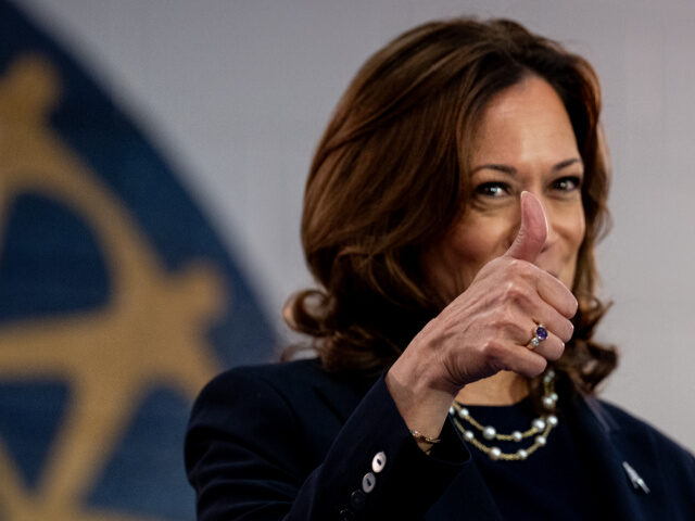 WAYNE, MICHIGAN - AUGUST 08: Democratic presidential candidate, U.S. Vice President Kamala