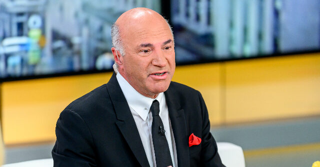 'Shark Tank' Star Kevin O’Leary Backs Elon Musk Joining a Trump White House 'Government Efficiency Commission'