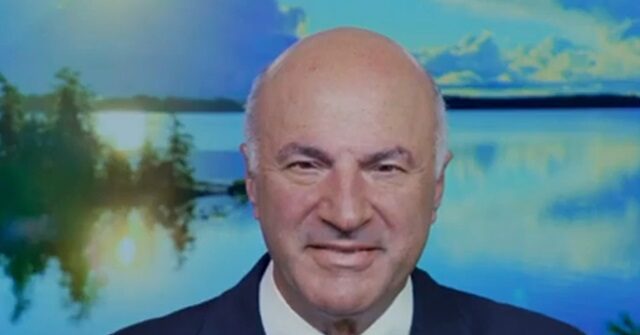 O'Leary: Harris Lack of Economic Details 'Really Big Sticking Point with Investors'