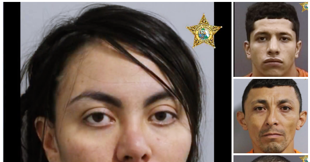 Florida Sheriff: 4 Illegals Operated Theft Ring, Stealing $1.7M in 9 Burglaries