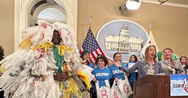 Report: California's Plastic Bag Ban Produced More Plastic Bag Waste