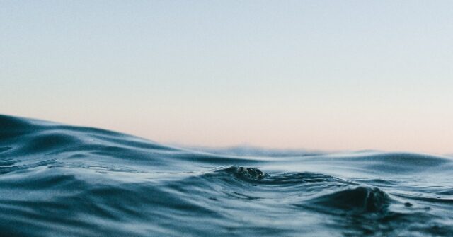 CrossFit Games Athlete Tragically Drowns During Event in Texas