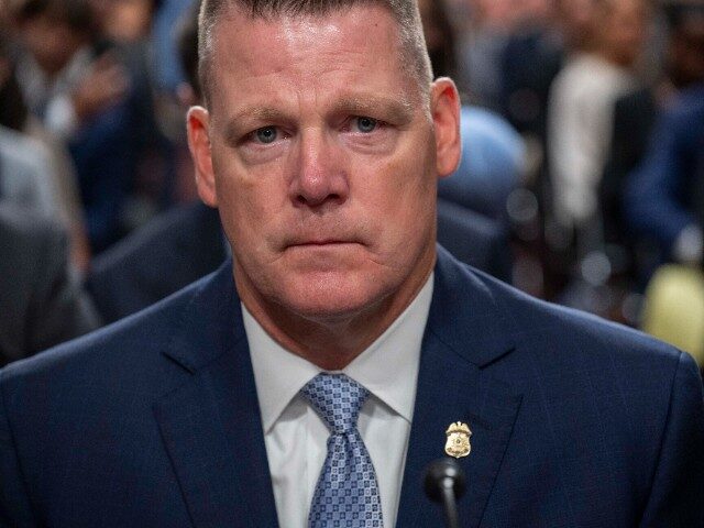 U.S. Secret Service Acting Director Ronald Rowe, testifies before a Joint Senate Committee