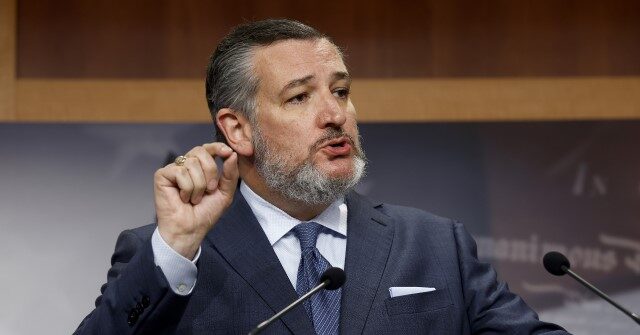Exclusive -- Ted Cruz Dismantles 'Wildly Partisan' Border Bill Media Uses to Claim Harris Is Strong on Border