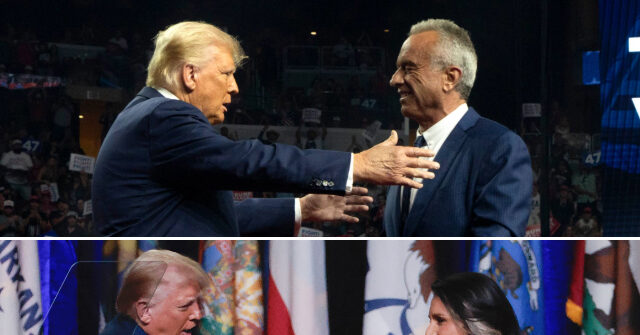 Donald Trump to Put RFK Jr., Tulsi Gabbard on Potential Transition Team as Honorary Co-Chairs