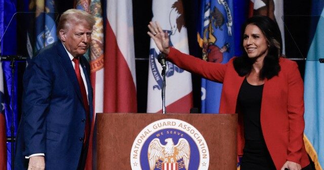Tulsi Gabbard Endorses Donald Trump: He Did Not 'Start Any New Wars'