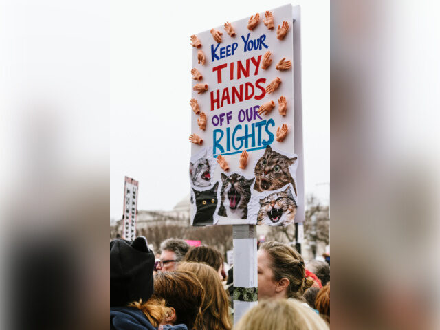 Pro-Abortion Sign, Demonstrators Chris Boese/Unsplash