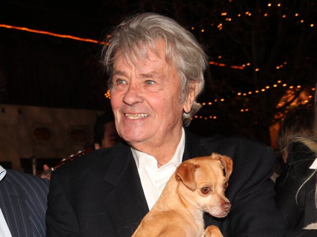 HENNDORF AM WALLERSEE, AUSTRIA - NOVEMBER 11: Francis Fulton Smith, Alain Delon with dog a