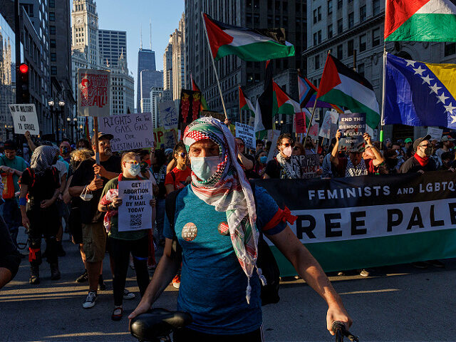 Activists march on North Michigan Avenue on Sunday, Aug. 18, 2024, in Chicago, host city f