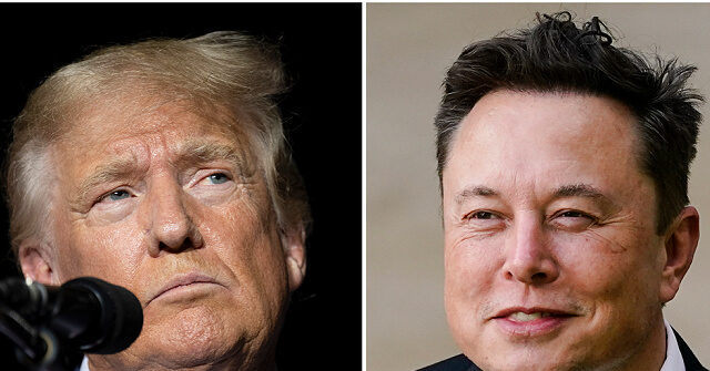 Marlow: Trump-Musk Convo 'Broke' the Media, They Don't Want Public to Watch