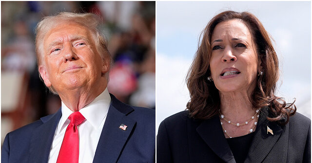 Trump: 'Voters Have a Choice -- Trump Prosperity, or the Kamala Crash'