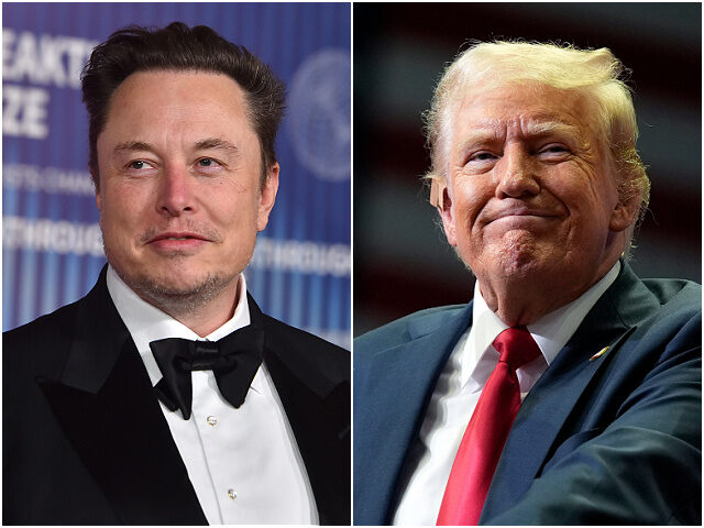 Elon Musk and Donald Trump