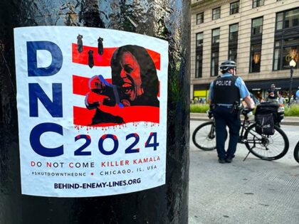 Democratic National Convention in Chicago