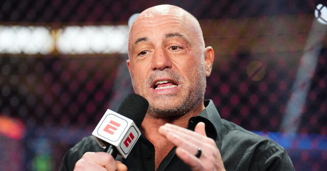 Joe Rogan: MSNBC 'Deceptively Edited' Video to 'Look Like I Said Great Things About Kamala Harris': 'They Don't Care About the Truth'