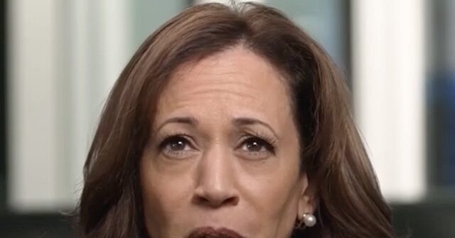 Blue State Blues: Kamala Harris Gives CNN Viewers ‘Consensus’ Without Leadership