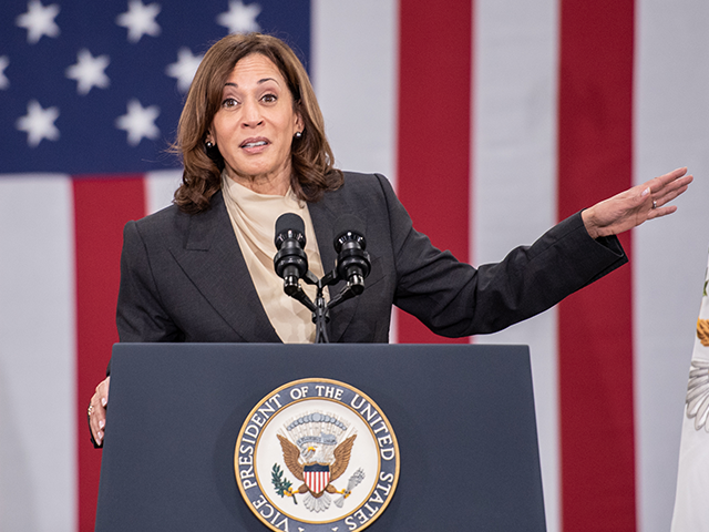 Vice President Kamala Harris speaks at a solar panel manufacturing plant in Dalton, Georgi