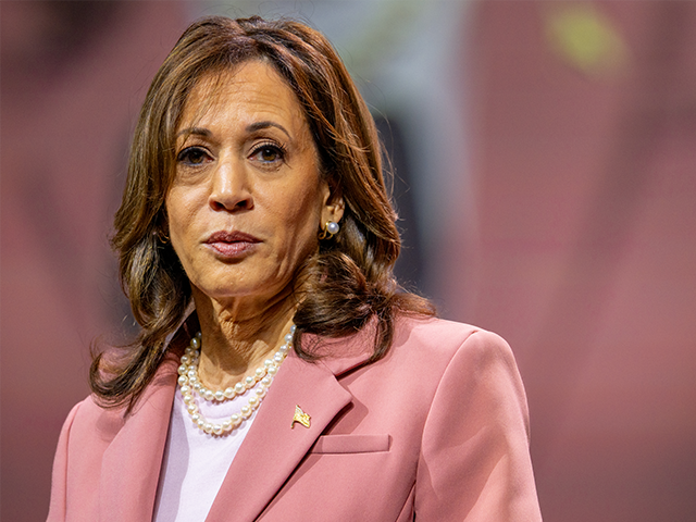 DALLAS, TEXAS - JULY 10: U.S. Vice President Kamala Harris speaks to members of the Alpha