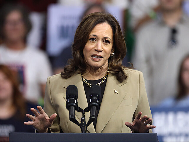 Vice President of the United States Kamala Harris speaking at a campaign rally at Desert D