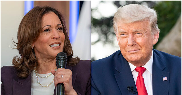 Trump Reveals He 'Agreed' to Debate Harris with 'Full Arena Audience'