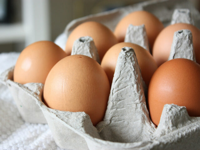 Carton of Eggs Morgane Perraud/Unsplash