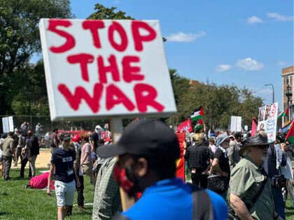 DNC protests in Chicago, August 2024